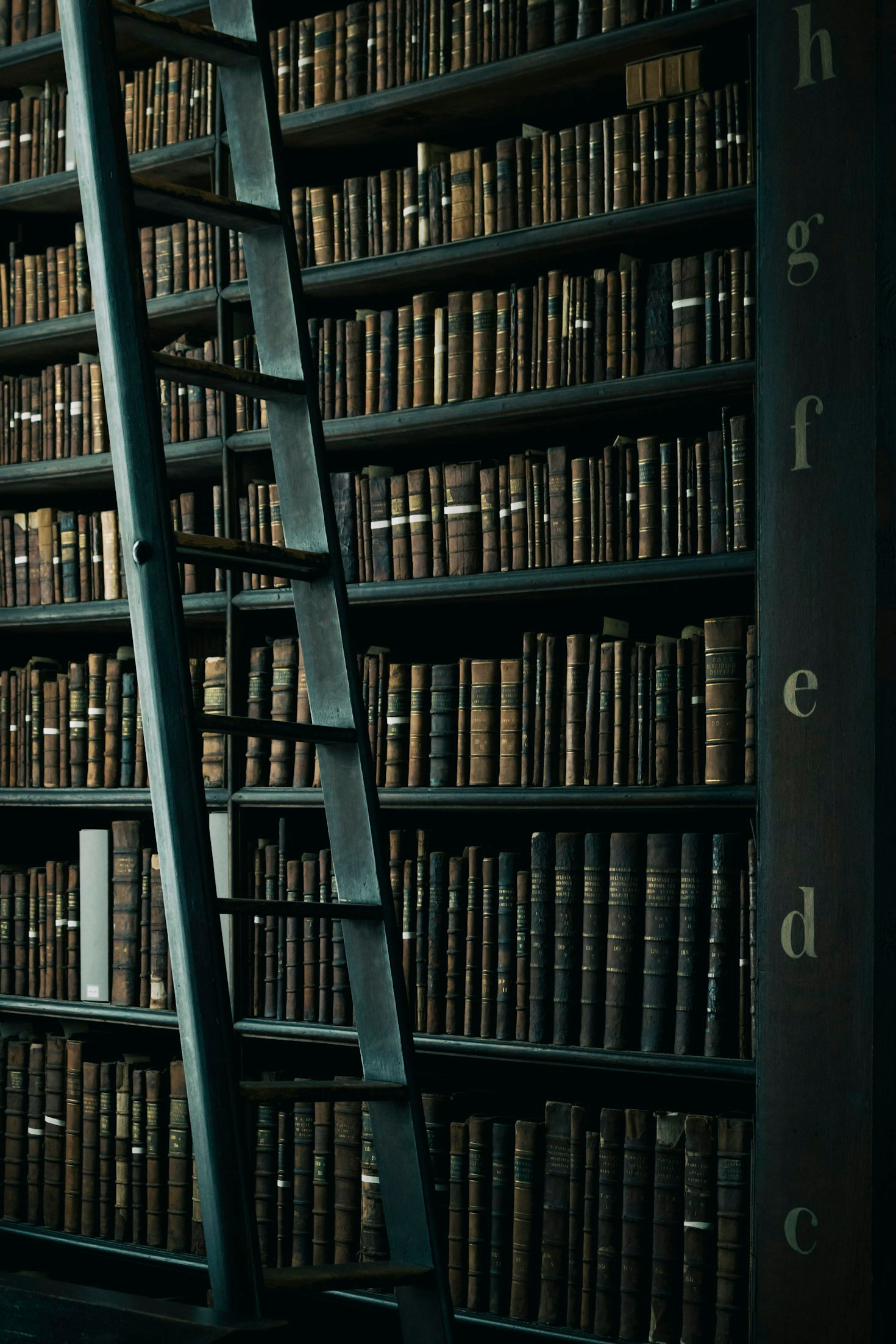 The Role of Surprise in Literary Works